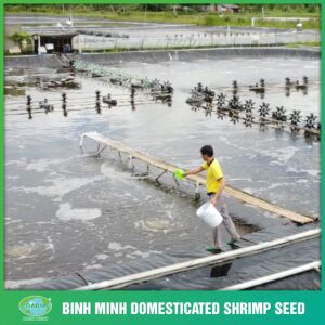 ACCOMPANYING FARMERS EVERY STEP OF THE WAY 29