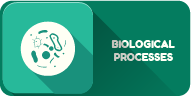 BIOLOGICAL PROCESSES