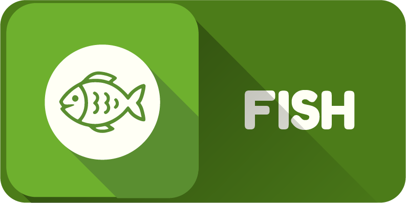 FISH BINH MINH