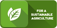 FOR A SUSTAINABLE AGRICULTURE