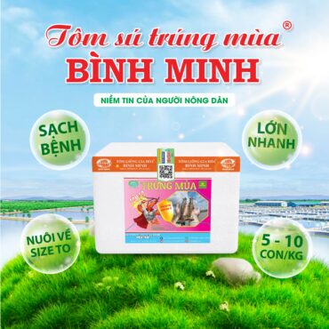 Tôm Sú Trúng Mùa Bình Minh