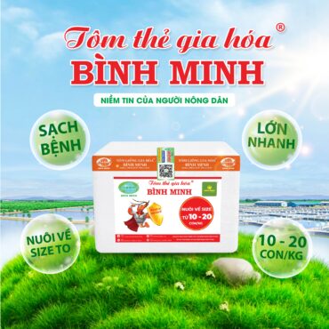 Tôm Thẻ Gia Hóa Bình Minh