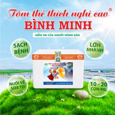 Tôm Thẻ Thích Nghi Cao Bình Minh
