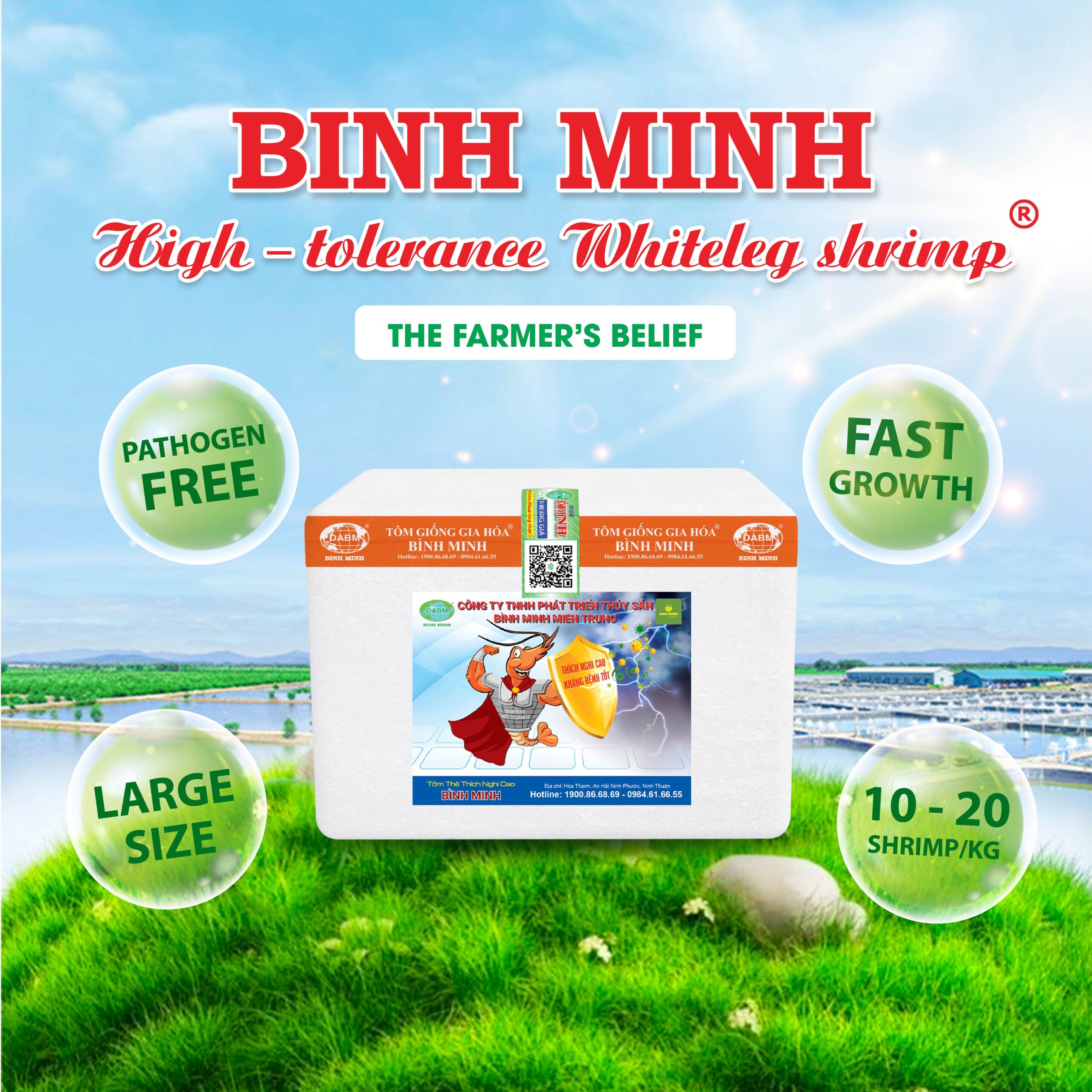 The Binh Minh Domesticated White Leg Shrimp 1 scaled