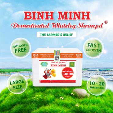 Tôm Thẻ Gia Hóa Bình Minh