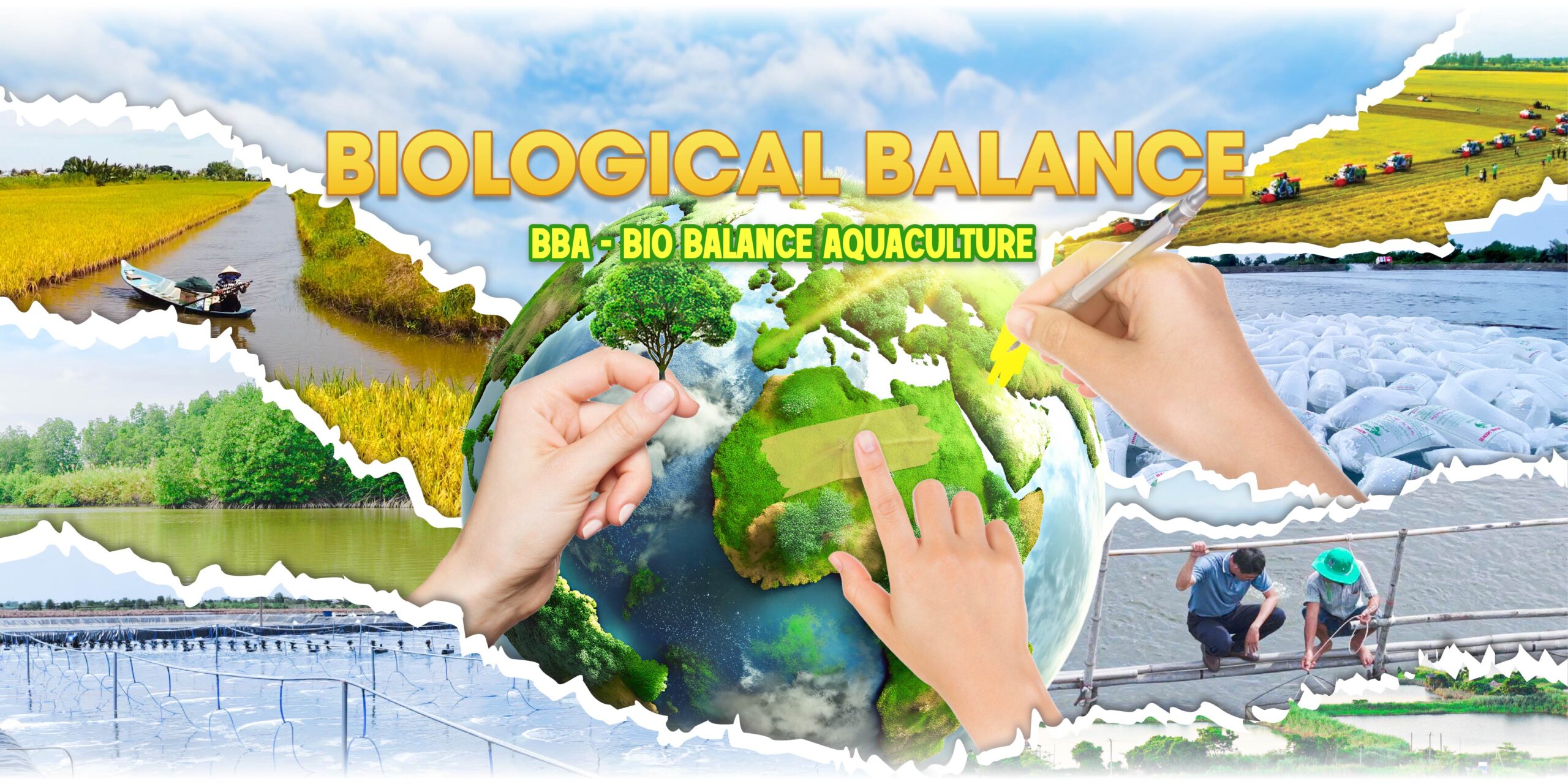 bio balance aquaculture binh minh scaled