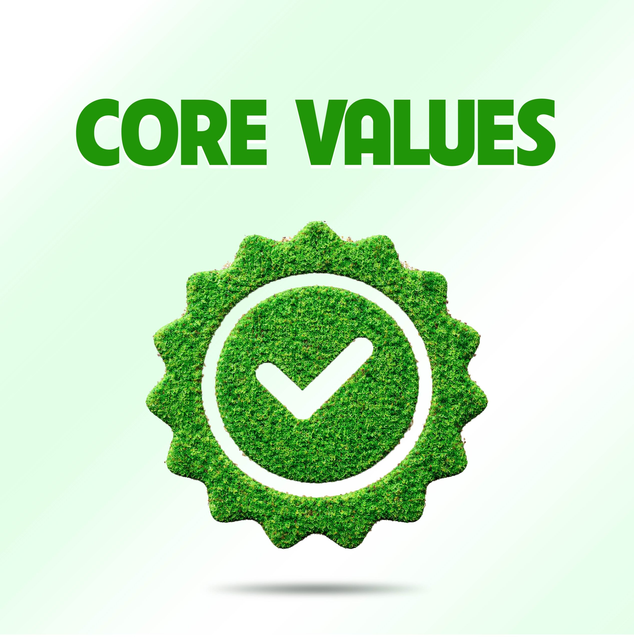 mission vision corevalues 3 scaled