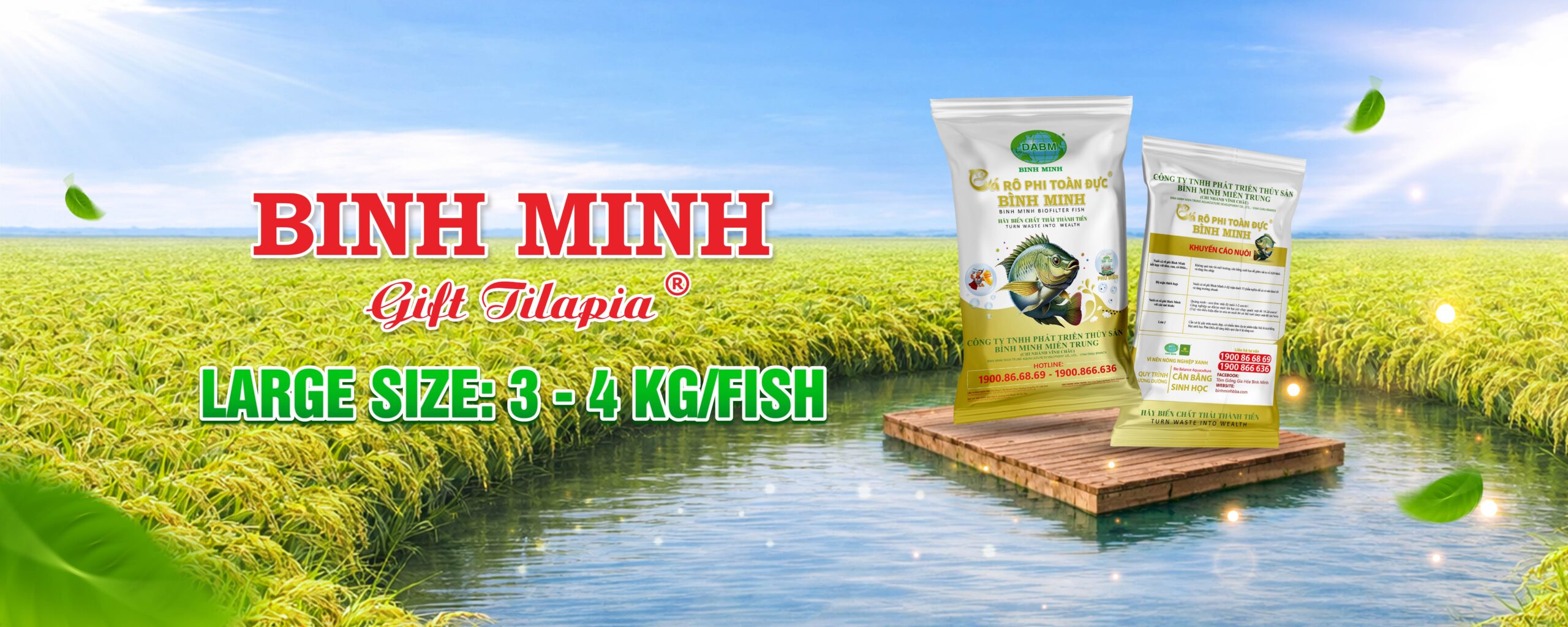 products binh minh 1 scaled