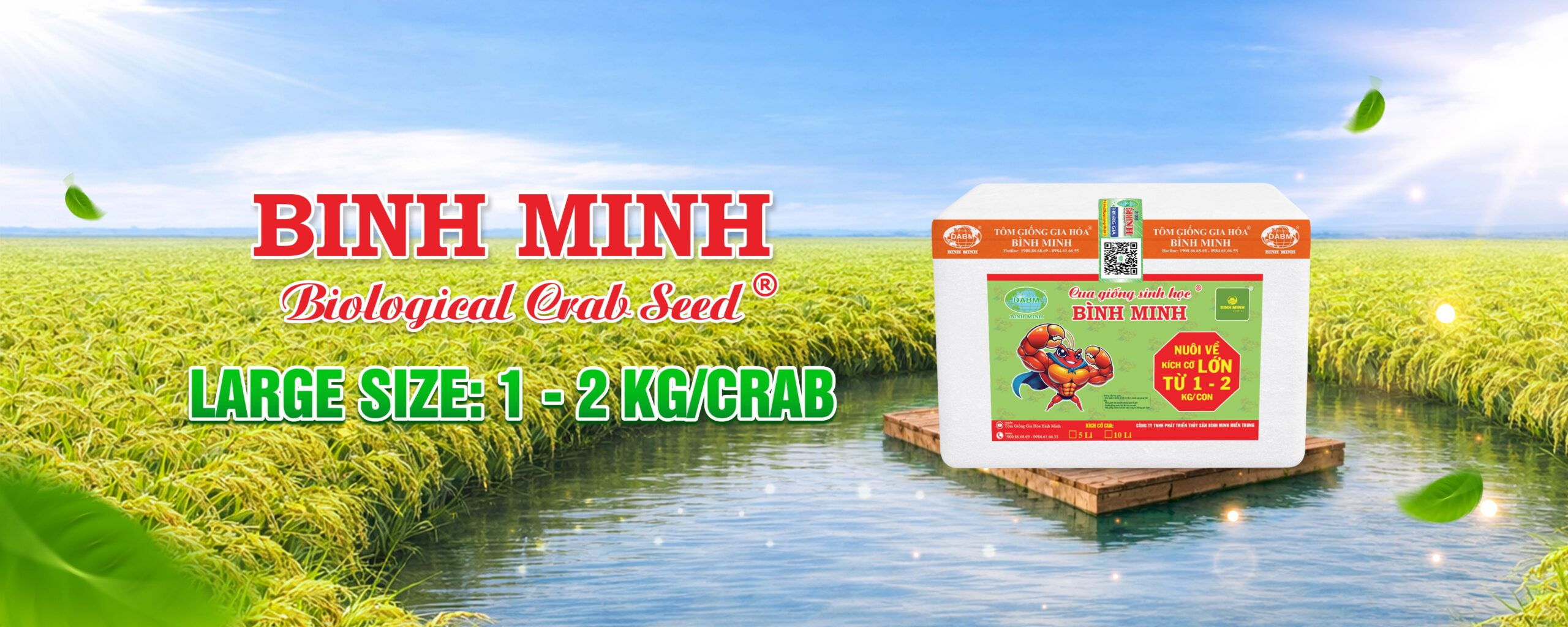 products binh minh 2 scaled