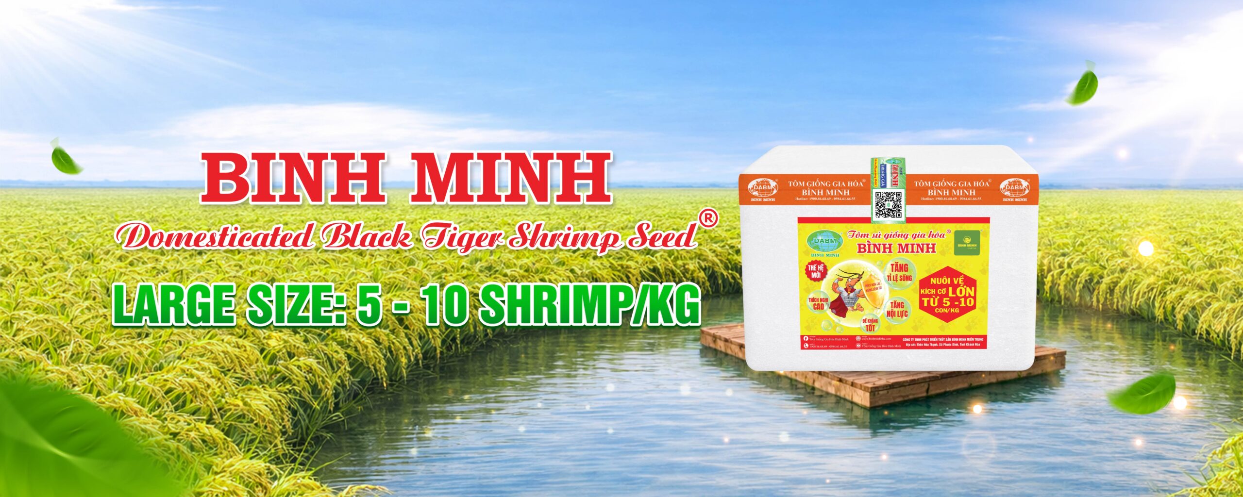 products binh minh 3 scaled