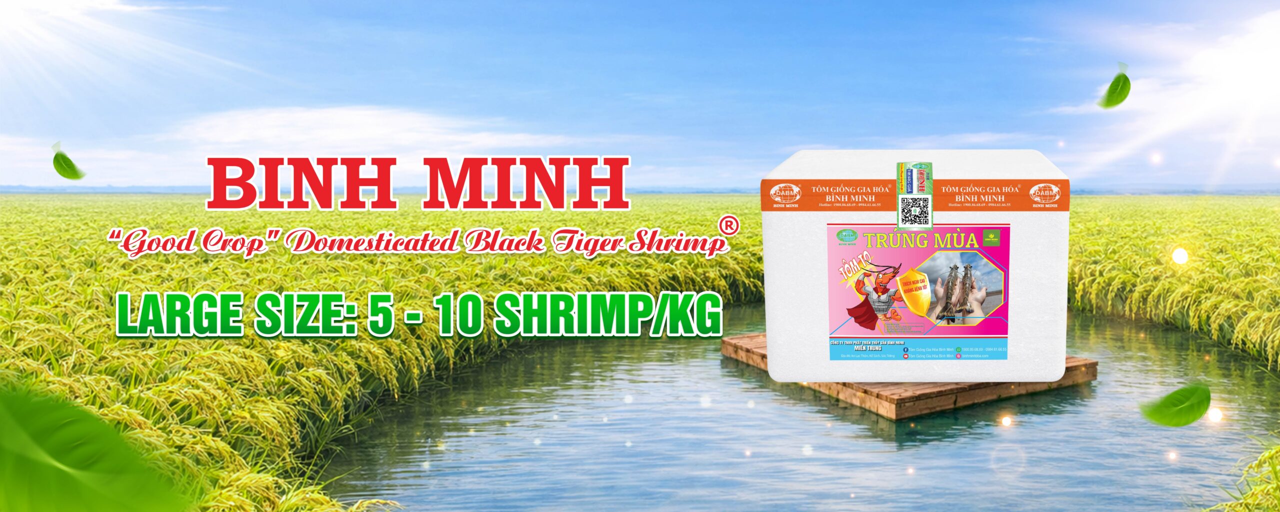 products binh minh 5 scaled