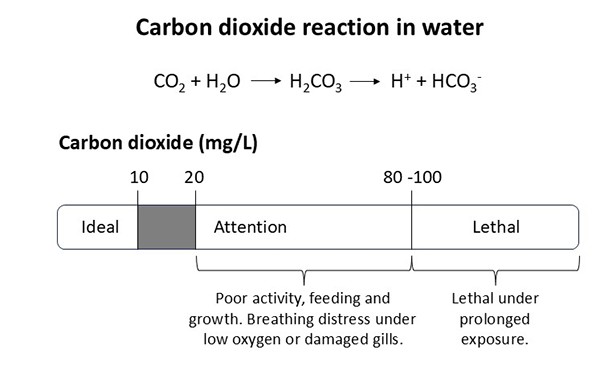 Hình 2: Khí carbon dioxide (CO₂) phản ứng trong nước và giải phóng H+, làm giảm độ pH của nước. Nồng độ CO₂ thích hợp trong hệ thống nuôi trồng thủy sản là dưới 10 mg/L. Giá trị trên 20 mg/l cần được chú ý. CO₂ có tác dụng gây ngạt thở đối với cá và tôm. Việc hô hấp trở nên khó khăn trong nước có nồng độ CO₂ cao, và đồng thời nồng độ oxy hòa tan thấp càng làm cho việc hô hấp khó khăn hơn. Cá và tôm có mang bị nhiễm ký sinh trùng hoặc vi khuẩn nặng, hoặc bị kích ứng do hàm lượng chất rắn lơ lửng hoặc hóa chất cao, có thể bị ngạt thở trong nước có nồng độ CO₂ cao và oxy hòa tan thấp.