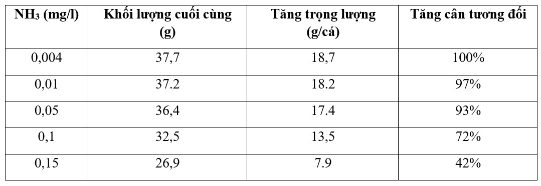 Bảng 3: Ảnh hưởng của việc tiếp xúc liên tục với nồng độ amoniac độc hại tăng dần (NH3 mg/l) đến trọng lượng cuối cùng và mức tăng trọng của cá rô phi. Trọng lượng ban đầu là 19 g. Được điều chỉnh từ El-Sherif và El-Feky (2008).