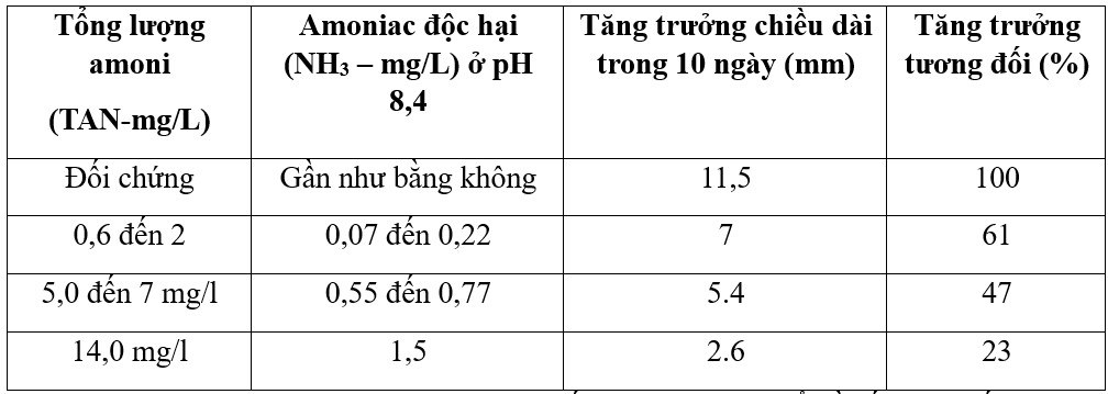 Bảng 4: Sự tăng trưởng của tôm Penaeus chinensis dài 40 mm được nuôi trong 10 ngày dưới các nồng độ amoni khác nhau trong nước có pH 8,4 (Được điều chỉnh từ Chien, 1992).