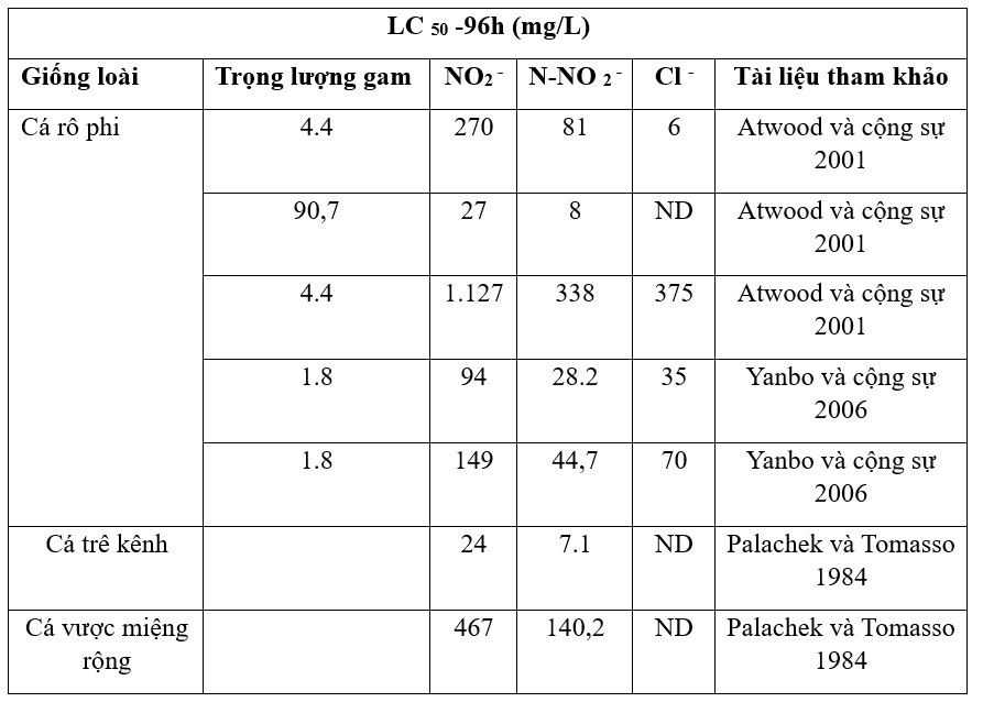 Bảng 6: Nồng độ gây chết (LC50-96h) của nitrit (tính bằng mg/L NO₂⁻ hoặc mg/L N-NO₂⁻) đối với các loài cá nuôi khác nhau. Nồng độ clorua trong nước (Cl⁻ tính bằng mg/L). Coi nồng độ an toàn là giá trị bằng 10% của LC50 96h. Ví dụ, đối với cá rô phi, giá trị này dao động từ 0,3 đến 112 mg/L NO₂⁻, tùy thuộc vào độ mặn của nước. Đối với cá Tambaqui, mức an toàn là 0,6 mg/L NO₂⁻.