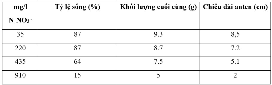 Bảng 8: Tỷ lệ sống, trọng lượng trung bình cuối cùng và chiều dài râu của tôm biển P. vannamei được nuôi trong 42 ngày trong hệ thống biofloc với độ mặn 11 ppt dưới các nồng độ nitrat khác nhau (Kuhn và cộng sự 2010).