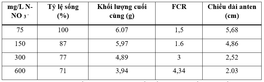 Bảng 9: Tỷ lệ sống, trọng lượng trung bình cuối cùng, hiệu quả chuyển đổi thức ăn và chiều dài râu của tôm biển P. vannamei được nuôi trong 42 ngày trong nước có nồng độ nitrat khác nhau. Hệ thống biofloc, độ mặn 23 ppt, trọng lượng trung bình ban đầu 1,3 g (được điều chỉnh từ Furtado và cộng sự 2015).