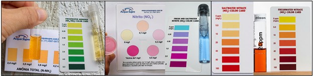 Hình 2: Ví dụ về bộ dụng cụ thử nghiệm đo màu để xác định amoniac, nitrit và nitrat.