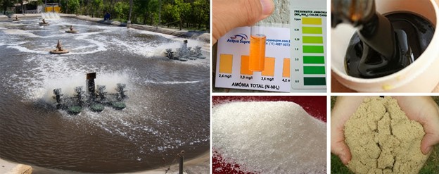 Hình 4: Hệ thống biofloc: việc theo dõi thường xuyên nồng độ amoniac và sử dụng các nguồn carbon như mật đường, đường tinh thể hoặc cám gạo giúp kích thích sự hình thành bông cặn và giảm tổng lượng nitơ amoniac.
