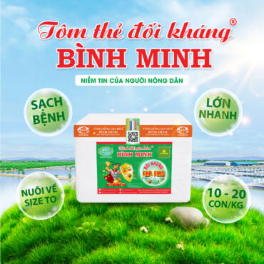 Tôm Thẻ Đối Kháng Bình Minh