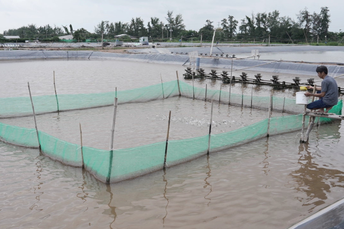 Ao nuôi cân bằng sinh học