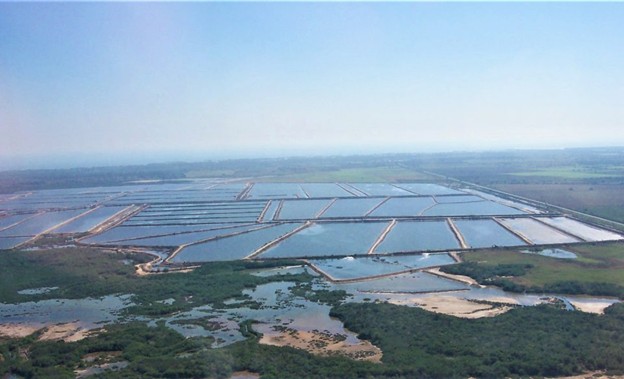 Trong phần thứ hai của chuỗi bài gồm ba phần, các tác giả tập trung phân tích việc sử dụng nước trong nuôi tôm tại năm quốc gia xuất khẩu tôm nuôi hàng đầu gồm Ecuador, Ấn Độ, Indonesia, Thái Lan và Việt Nam. Đồng thời, bài viết đề xuất một số giải pháp nhằm giảm thiểu nguy cơ gây ô nhiễm từ các trang trại nuôi tôm, trong đó nhấn mạnh việc sử dụng thức ăn một cách hiệu quả để hạn chế tối đa lượng thức ăn dư thừa. (Ảnh: Darryl Jory).