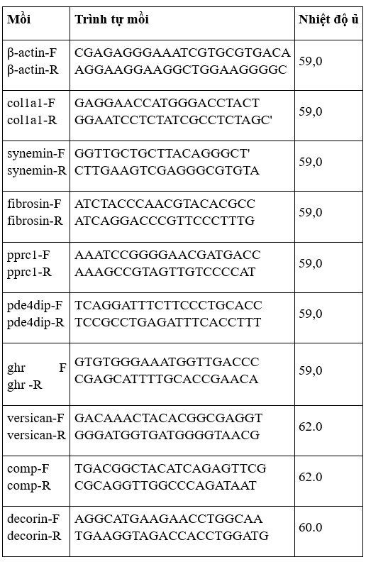 Các mồi được thiết kế dựa trên trình tự gen từ dữ liệu transcriptome và được tổng hợp bởi Công ty Sinh học Thượng Hải Jinweizhi (Thượng Hải, Trung Quốc).