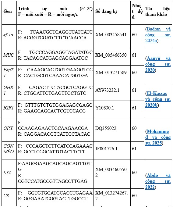 Bảng 5. Trình tự mồi được sử dụng cho phân tích biểu hiện qRT-PCR .