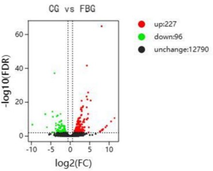 Hình 3. Sơ đồ núi lửa của các gen biểu hiện khác biệt trong trình tự transcriptome.