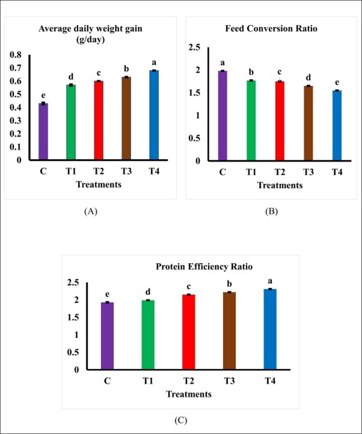 Hình 4. Hiệu suất tăng trưởng và khả năng sử dụng chất dinh dưỡng của cá ( Oreochromis niloticus ) sau 90 ngày cho ăn: (A) Tăng trọng trung bình hàng ngày (g/ngày); (B) Tỷ lệ chuyển đổi thức ăn; (C) Tỷ lệ hiệu quả protein.