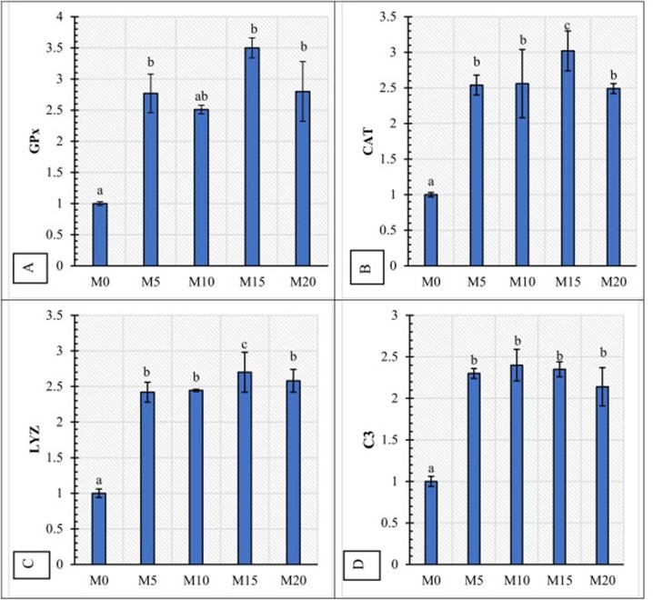 Hình 7. Biểu hiện gen liên quan đến chất chống oxy hóa (A-GPx: Glutathione peroxidase, B-CAT: Hoạt tính Catalase) và miễn dịch (C-LYZ: Hoạt tính Lysozyme, D-C3: Thành phần bổ thể 3 (C3)) của ruột cá rô phi sau 56 ngày thử nghiệm cho ăn. Các cột có chữ cái khác nhau cho thấy sự khác biệt có ý nghĩa thống kê (P < 0,05).